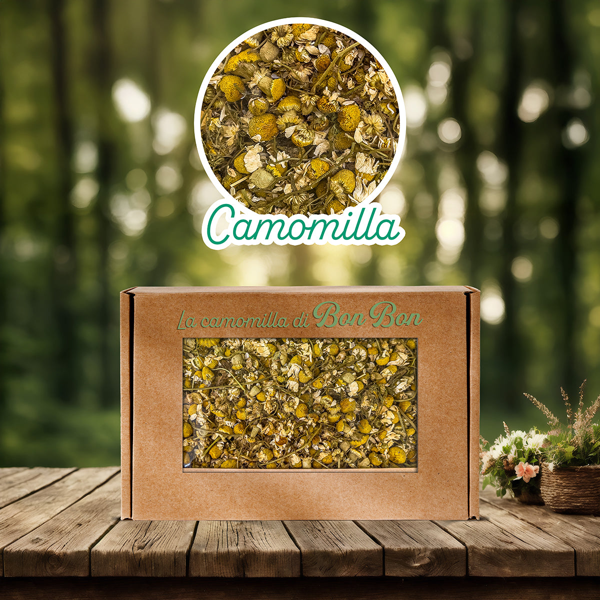 Camomilla Bon Bon