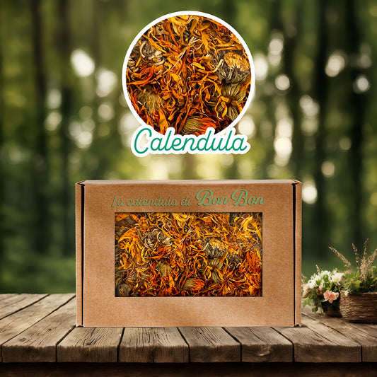 Calendula Bon Bon